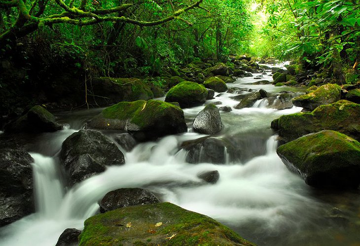 Coste Rica river