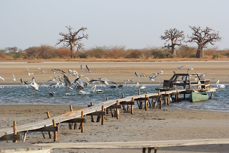 Palmarin Senegal beach