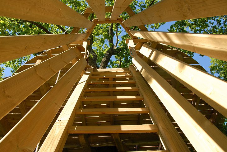 Inner wood structure of the tree house