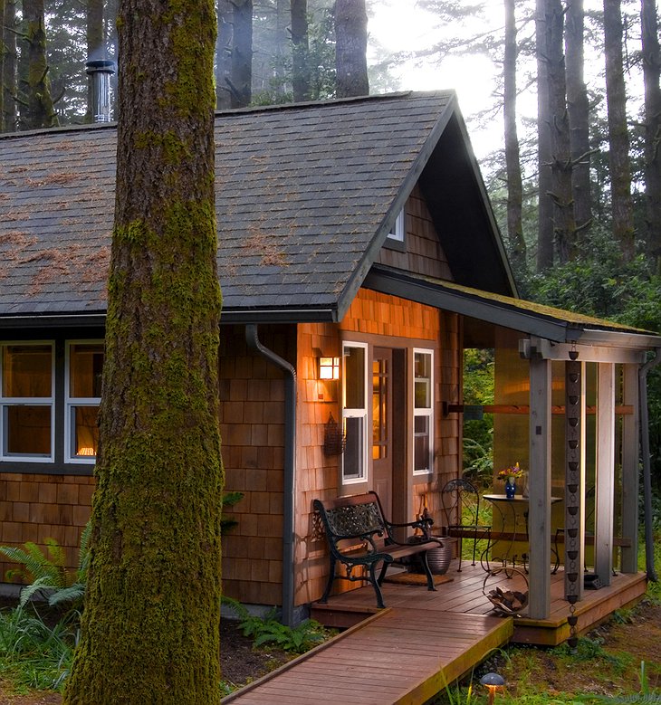 WildSpring Guest Habitat cabin