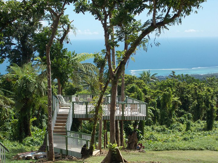 Lupe Sina Treesort viewing deck