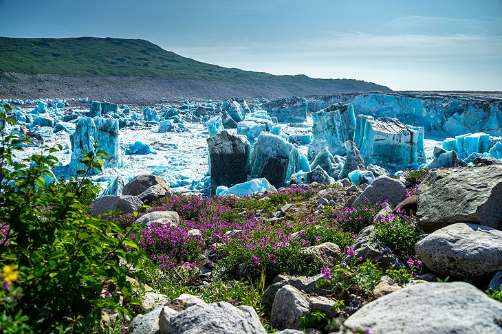 Alaskan Wilderness With Plants And Glaciers