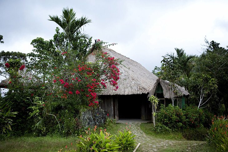 Native Village Inn Philippines