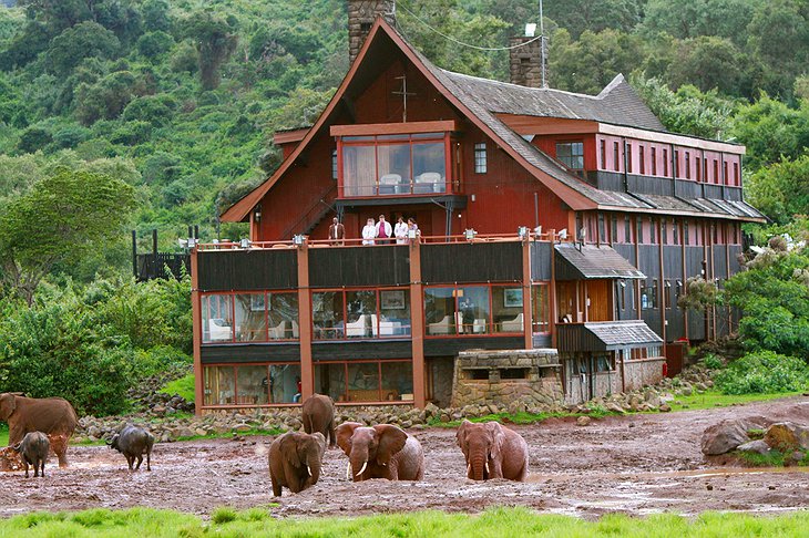 The Ark Kenya with elephants in the waterhole