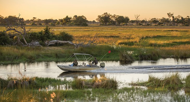 Okavango Delta Boat Trip