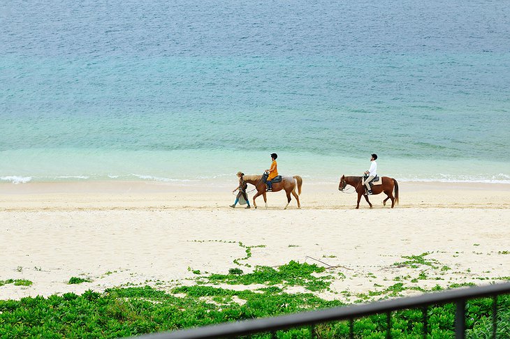 Hoshinoya Okinawa Beach Horse Riding