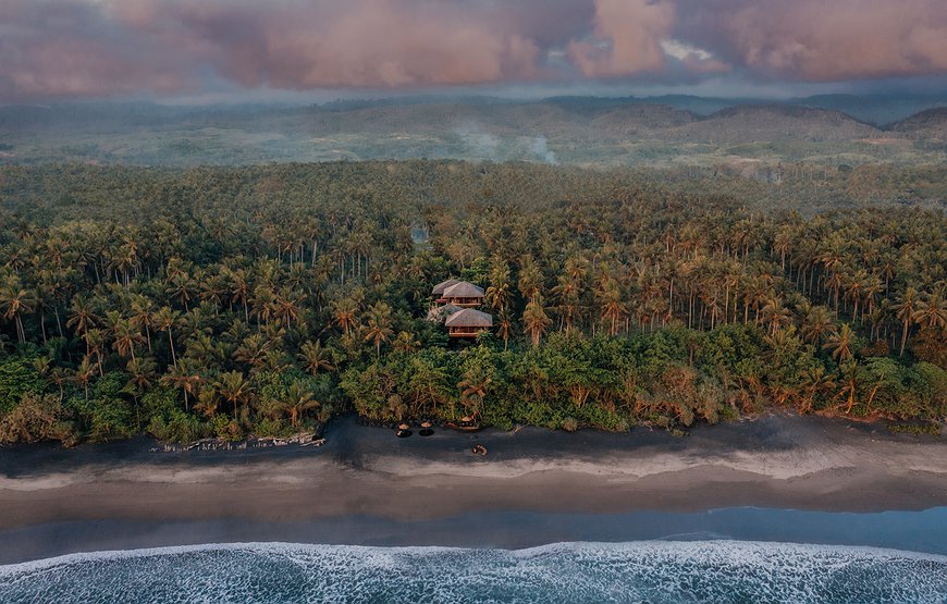 Lost Lindenberg - High Among the Palms: Bali's Vegan Treehouse Sanctuary