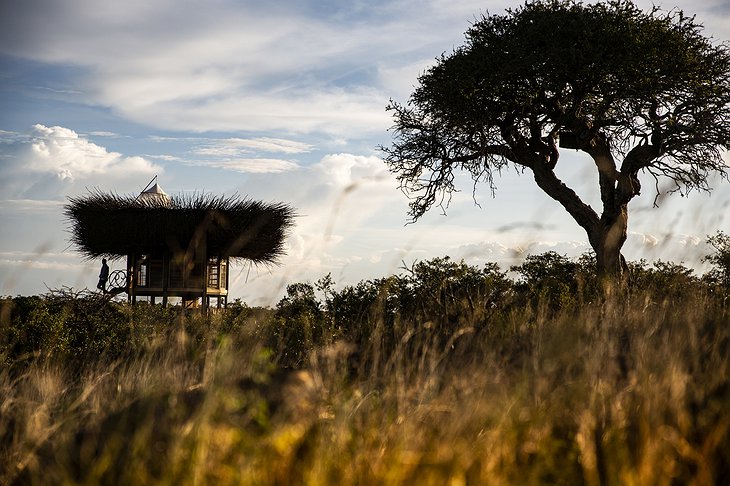 Bird Nest Treehouse