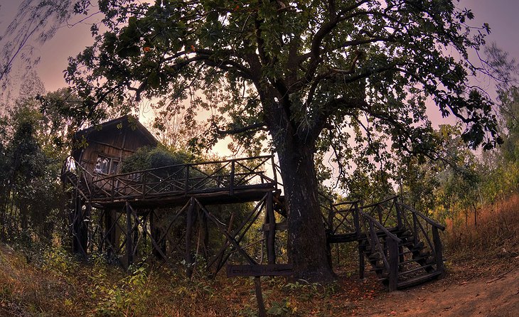 Tree House Hideaway treehouse