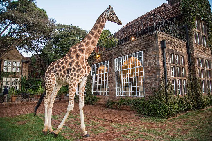 Giraffe Manor bathroom