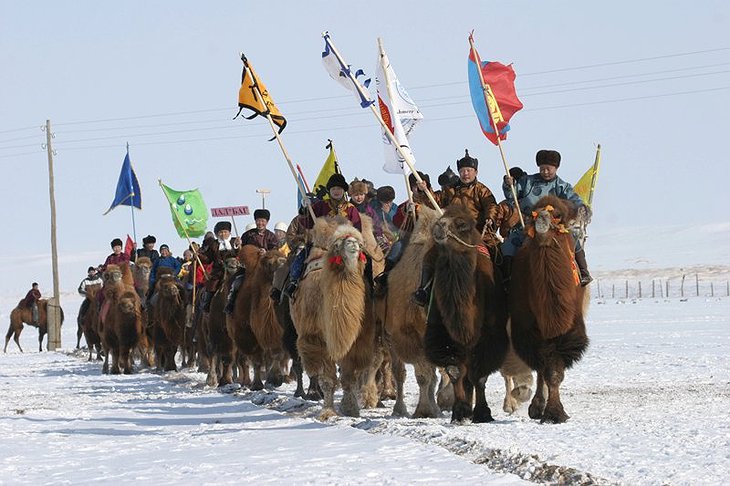 Mongolian Camel Festival