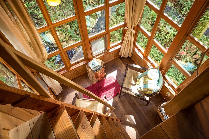 Trillium Tree House huge windows