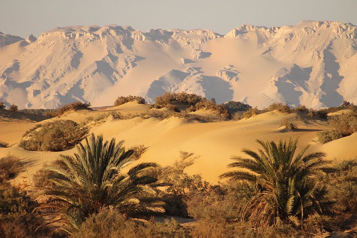 Dakhla Oasis Egypt Sand Dunes