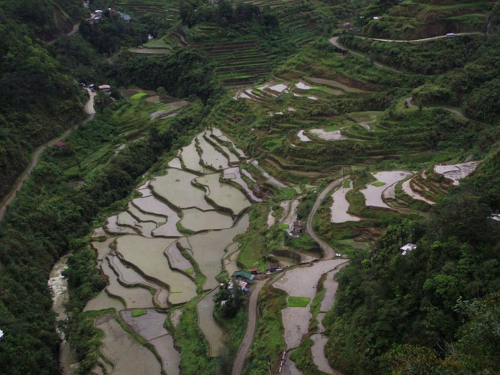 Uhaj Village rice paddies