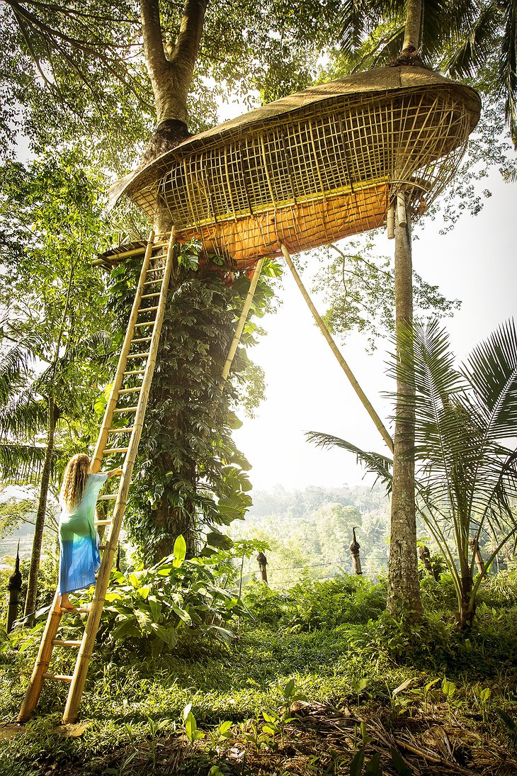 High tree house with ladder and a girl climbing on it