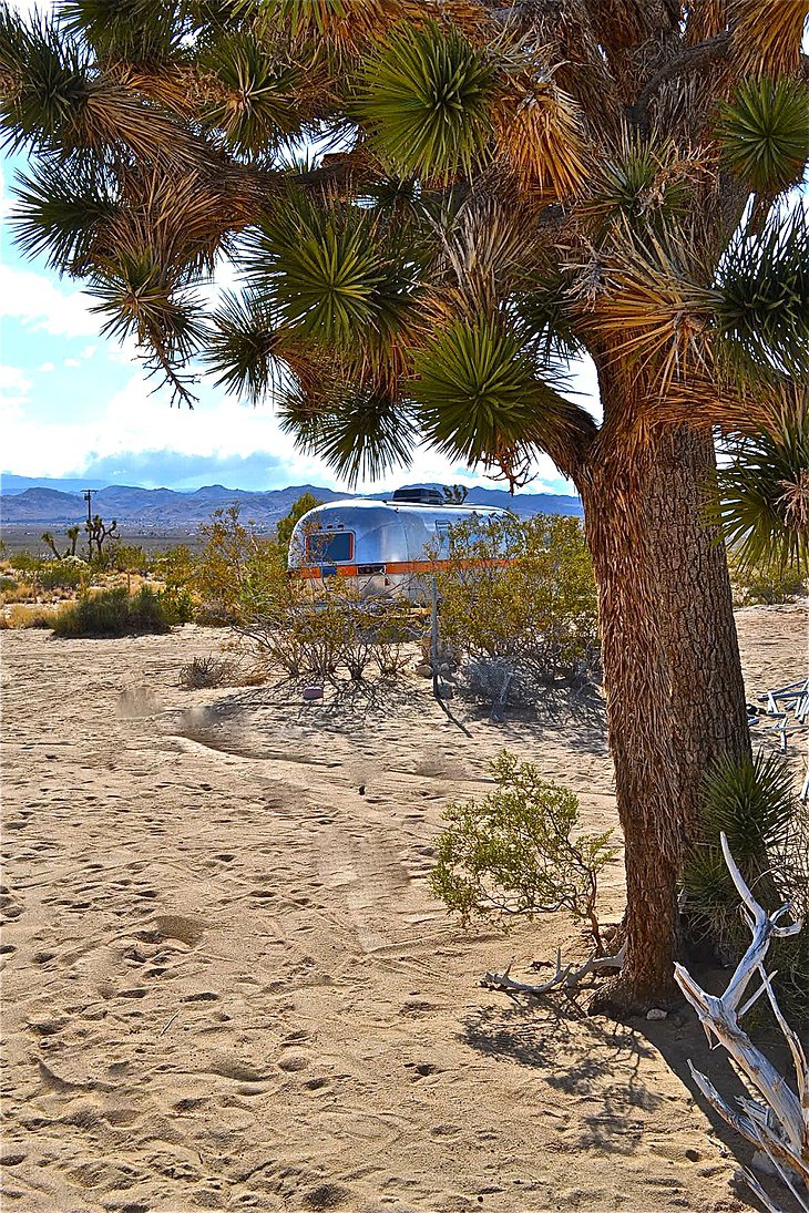 Kate's Lazy Desert trailer park