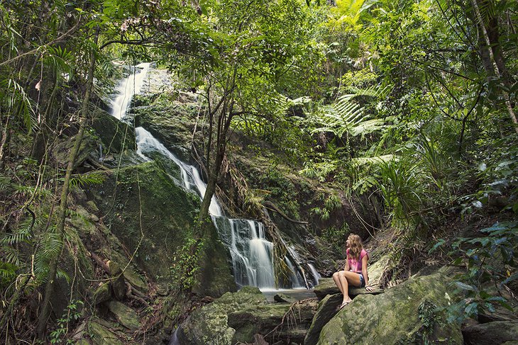 Daintree Waterfall and a girl