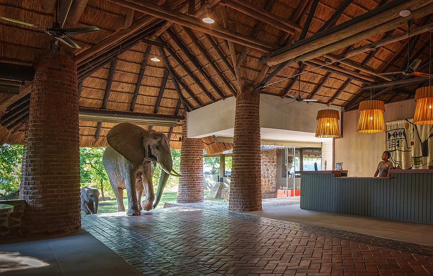 Mfuwe Lodge - The Safari Camp Where Elephants Stroll Through The Lobby