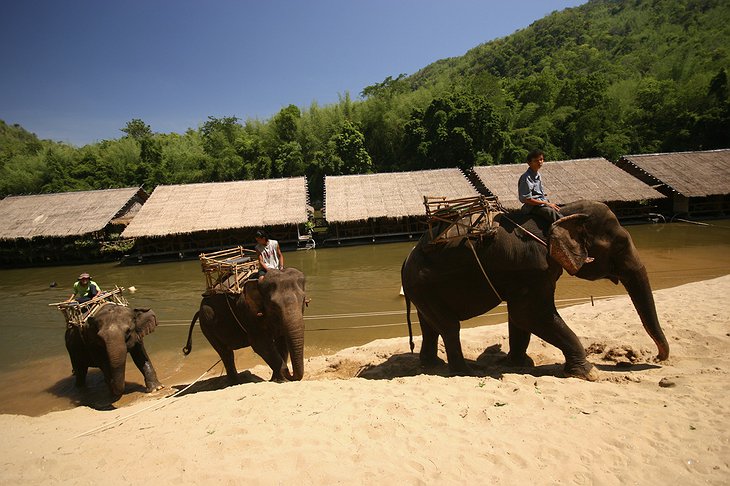 Elephant riding at the River Kwai Jungle Rafts