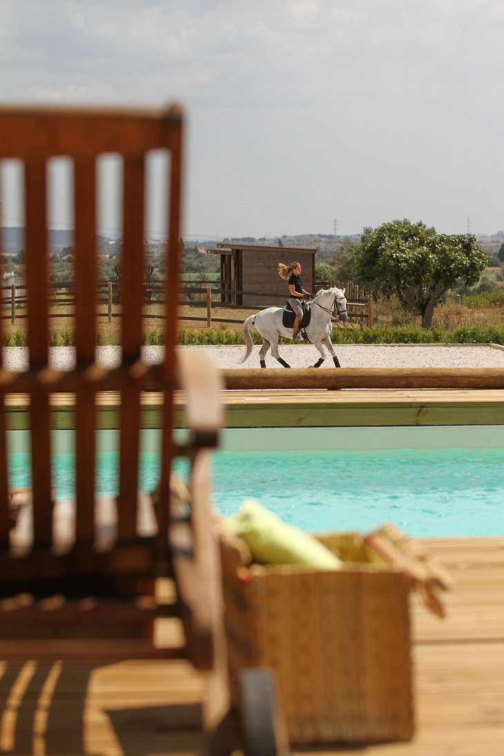 Quinta M at the pool