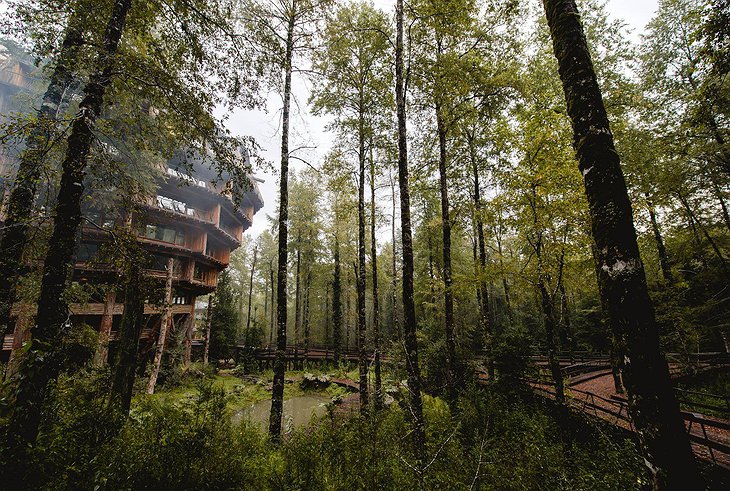 Treehouse Hotel Baobab In The Jungle