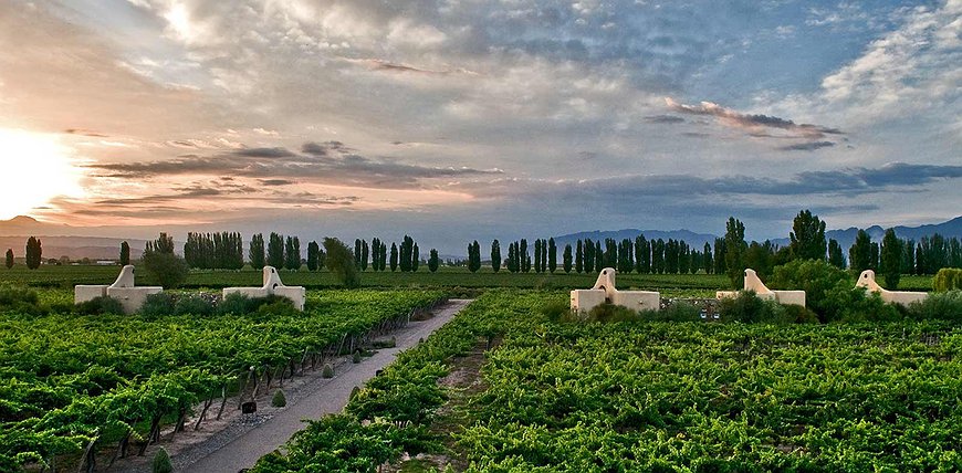 Cavas Wine Lodge - Adobe-Style Villas Set Among Argentina's Best Vineyards