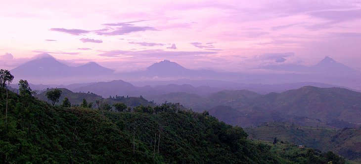 Bwindi Impenetrable Forest Scenic Panorama