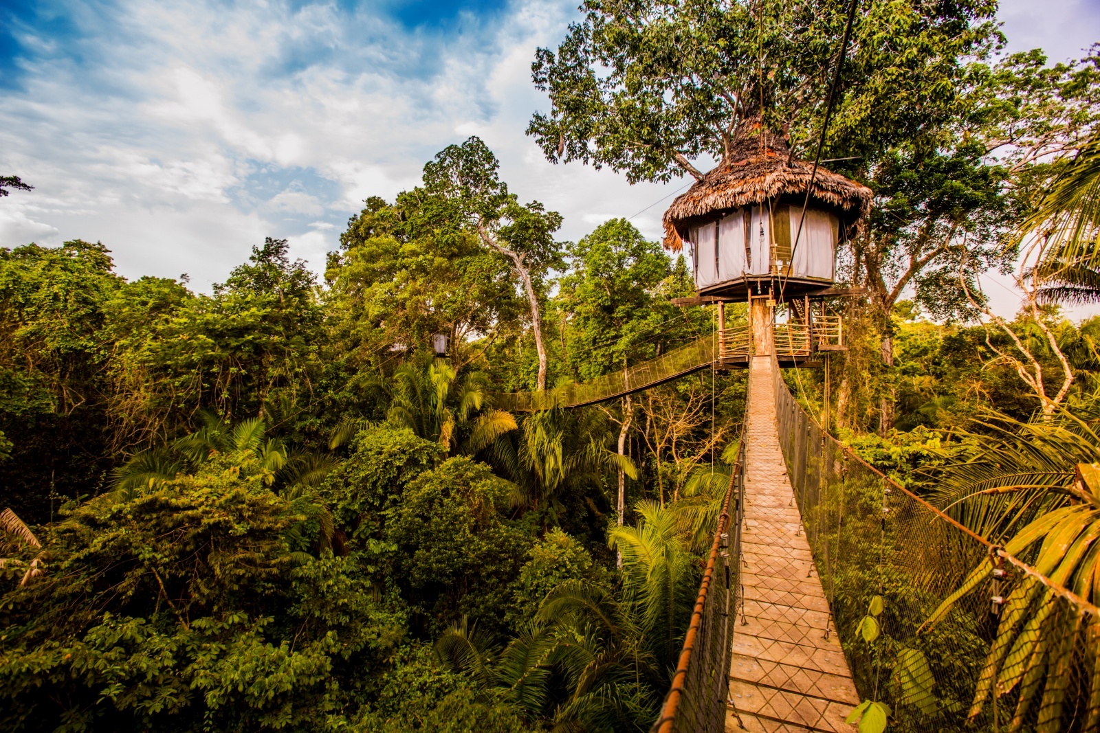 Treehouse Lodge Iquitos Tree Top Canopy Bungalows With Peruvian