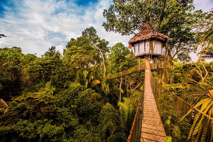 peru amazon tours iquitos