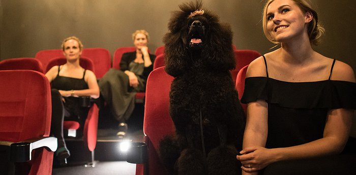 Mabi Hotel City Centre - Boutique Hotel With A Vintage Cinema