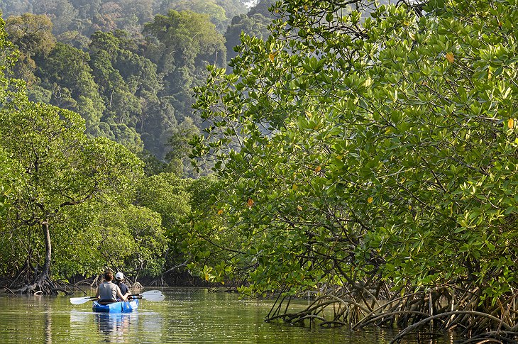 Wa Ale Island River Kayaking