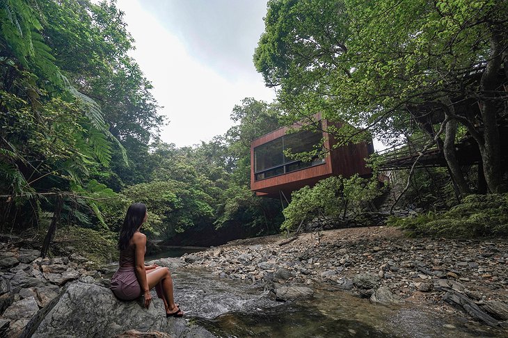 Treeful Treehouse Sustainable Resort AeroHouse