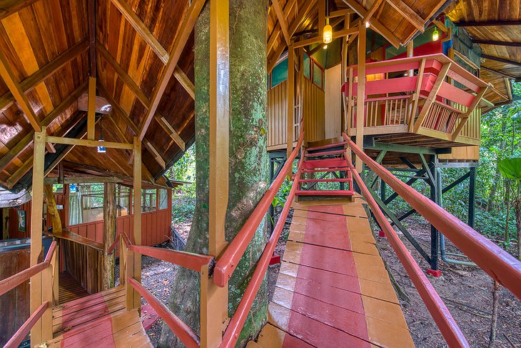 Tree House Wooden Bridges