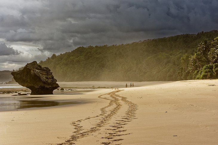 Sumba Island beach