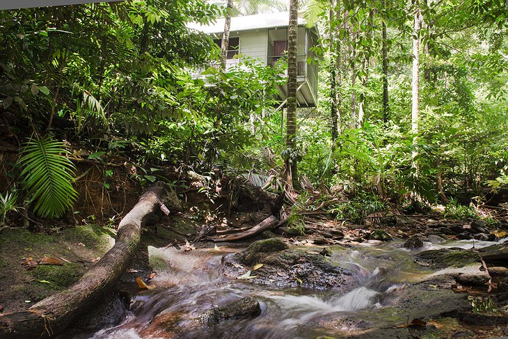 Daintree Eco Lodge building