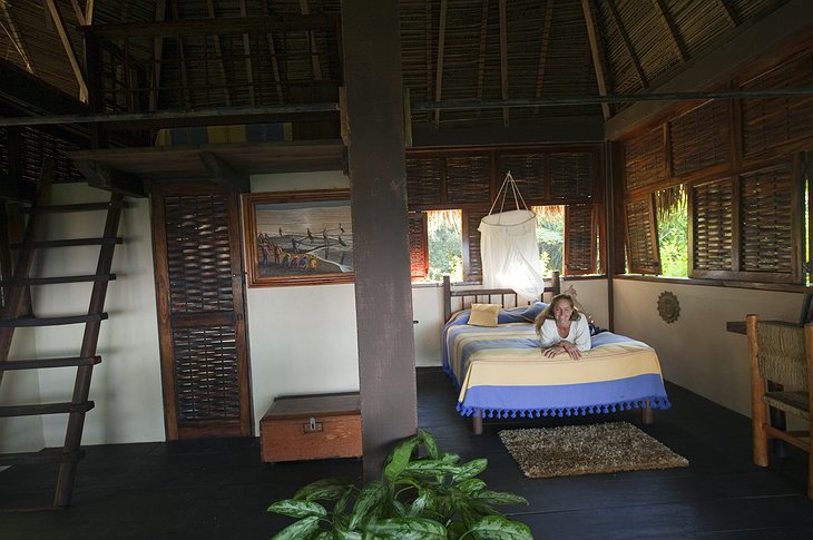 Jungle house interior