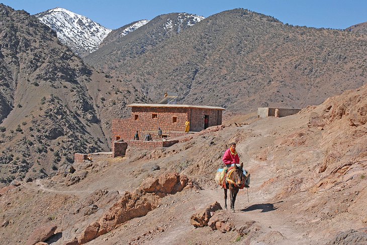 Donkey Ride In Imlil