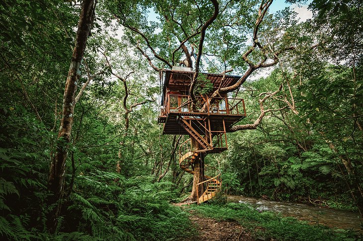 Treeful Treehouse Sustainable Resort Spiral Treehouse