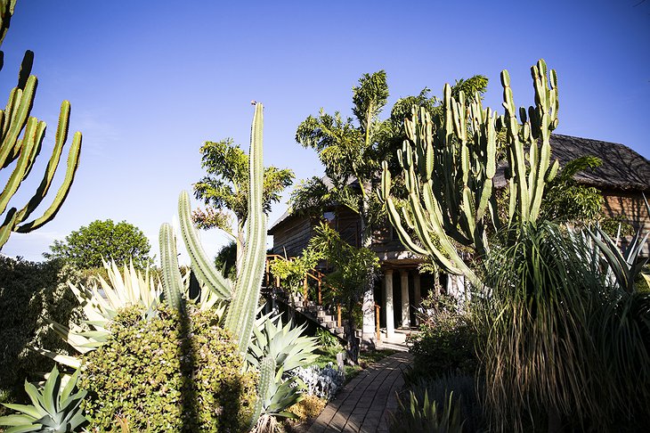 Segera Retreat Lodge Botanic Garden