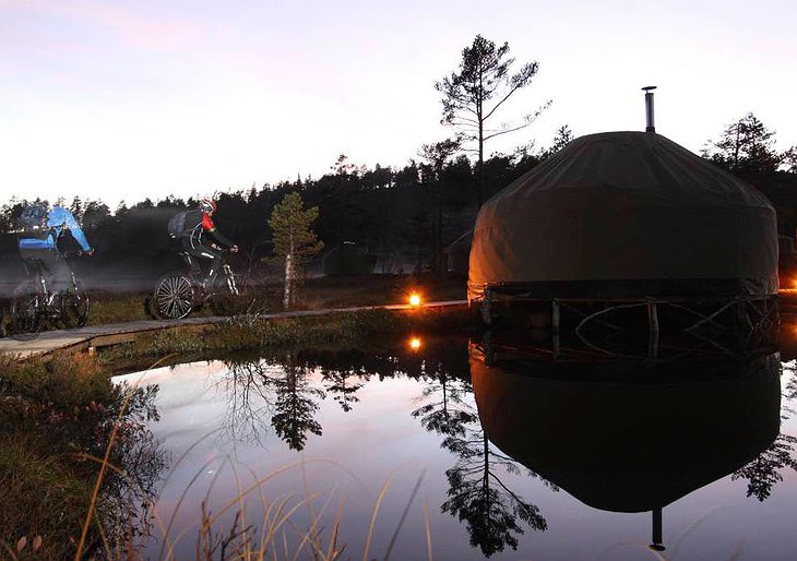 The Canvas Hotel yurt and bikes