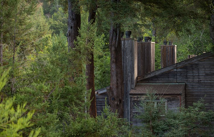 Ventana Big Sur Wooden Building With The Forest