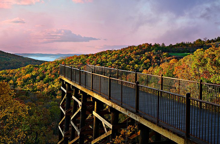 Top of the Rock Nature Bridge