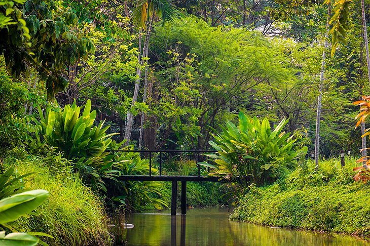 The River Resort Champasak Tropical Garden Bridge