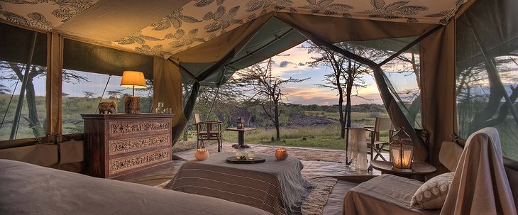 Richard's Camp tent interior