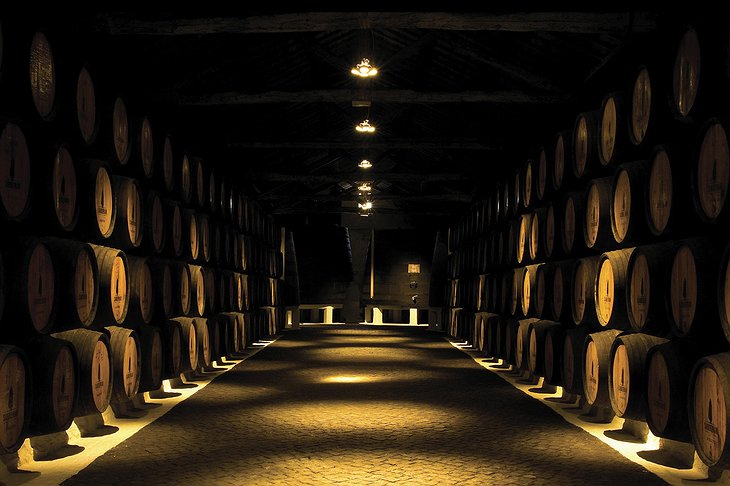 The House Of Sandeman Wine Cellar Barrels