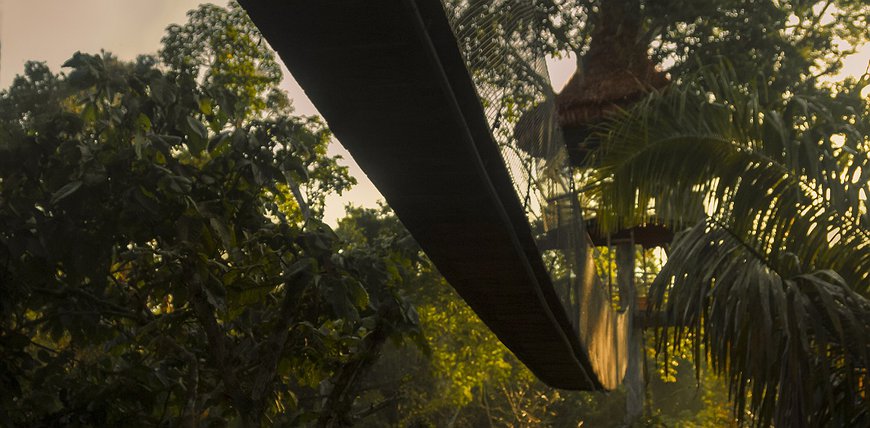 Treehouse Lodge Iquitos - Tree Top Canopy Bungalows With Peruvian Amazon Panorama