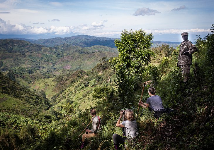 Bwindi Impenetrable Forest Gorilla Tracking