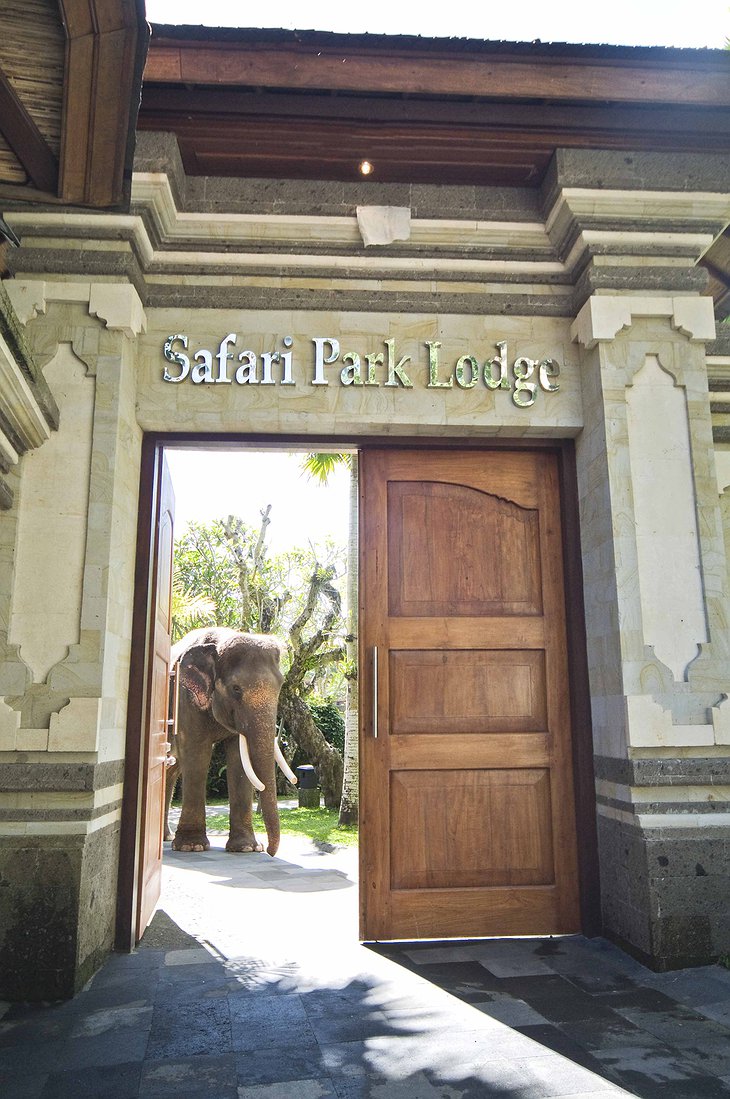 Entrance to the Elephant Safari Park Lodge