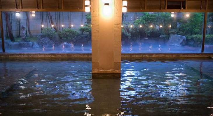 Hoshi Ryokan spa