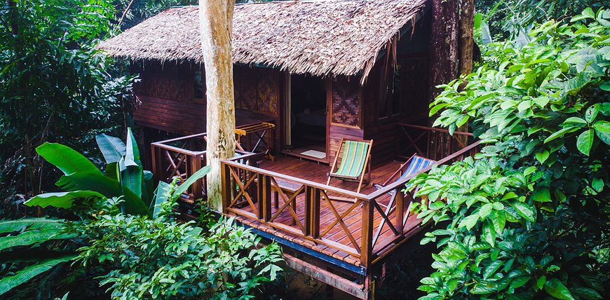 Our Jungle House - Rainforest Experience In Southern Thailand